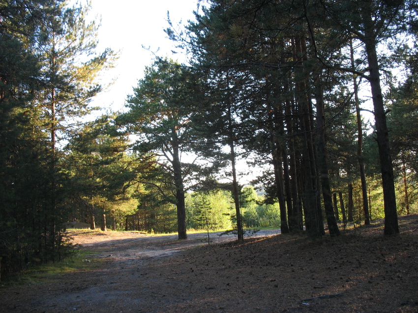 Сыктывкар 2015 - Красная гора