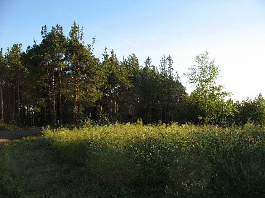 Сыктывкар 2015 - Красная гора