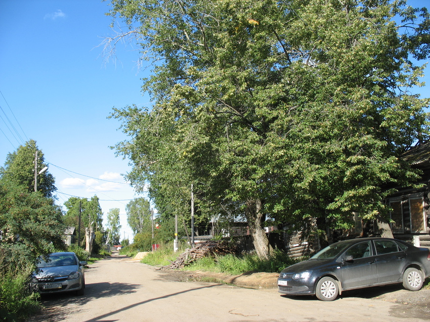 Сыктывкар 2015