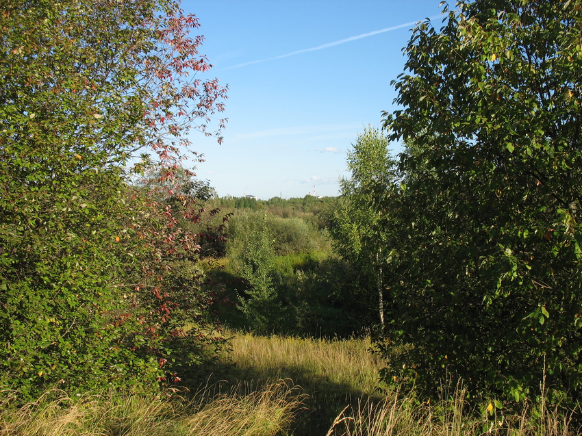 Сыктывкар 2015