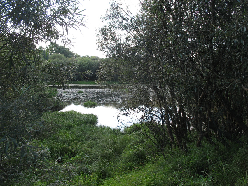 Сыктывкар 2015