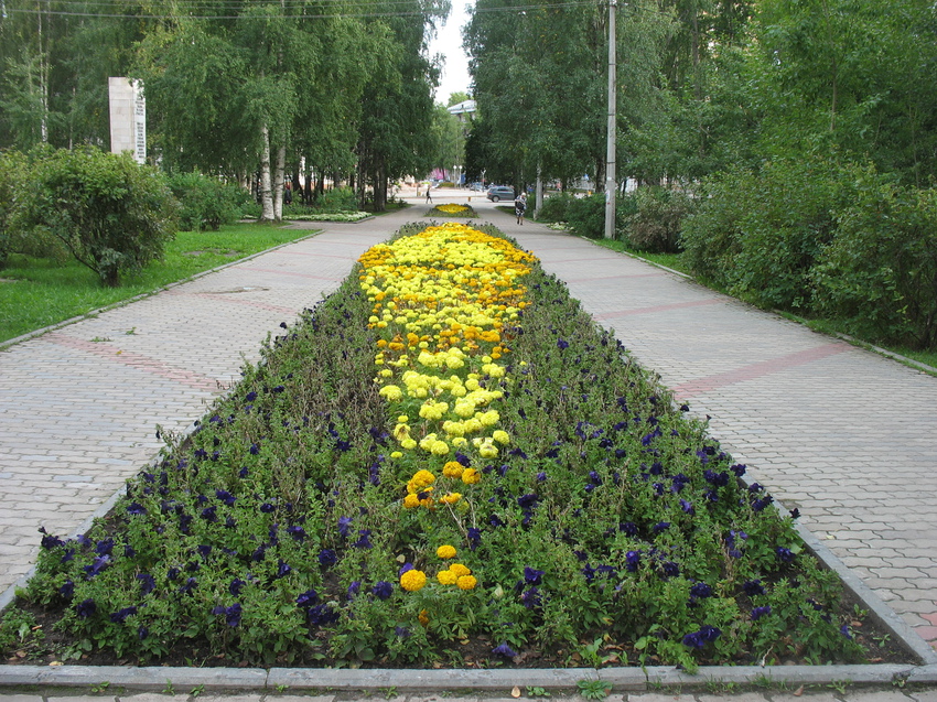 Сыктывкар 2015