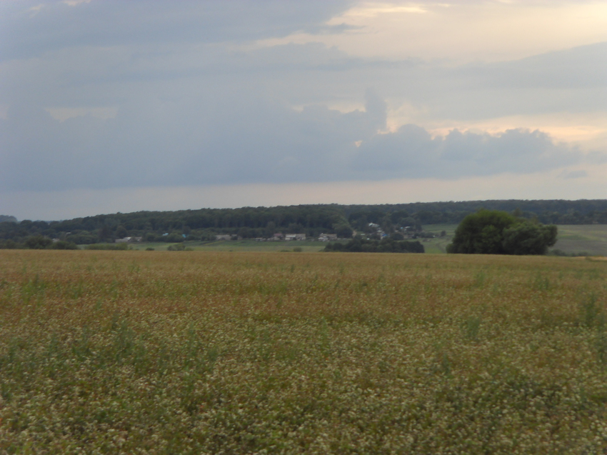 Затишье вид на Красное