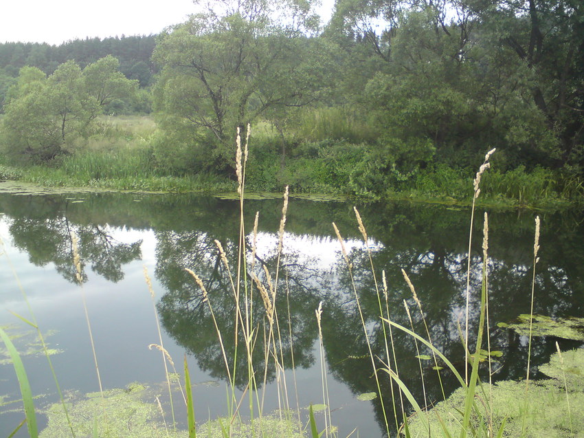 Неручь. Глубокое место