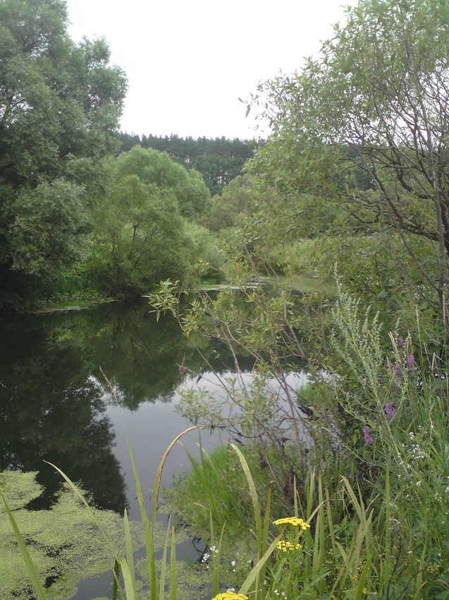 Затишье. Неручь