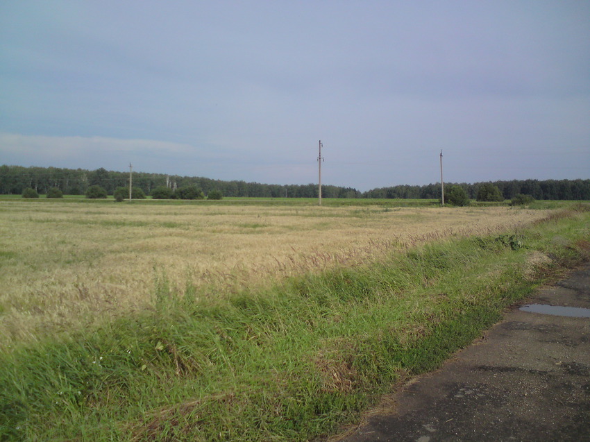 Просторы Затишья