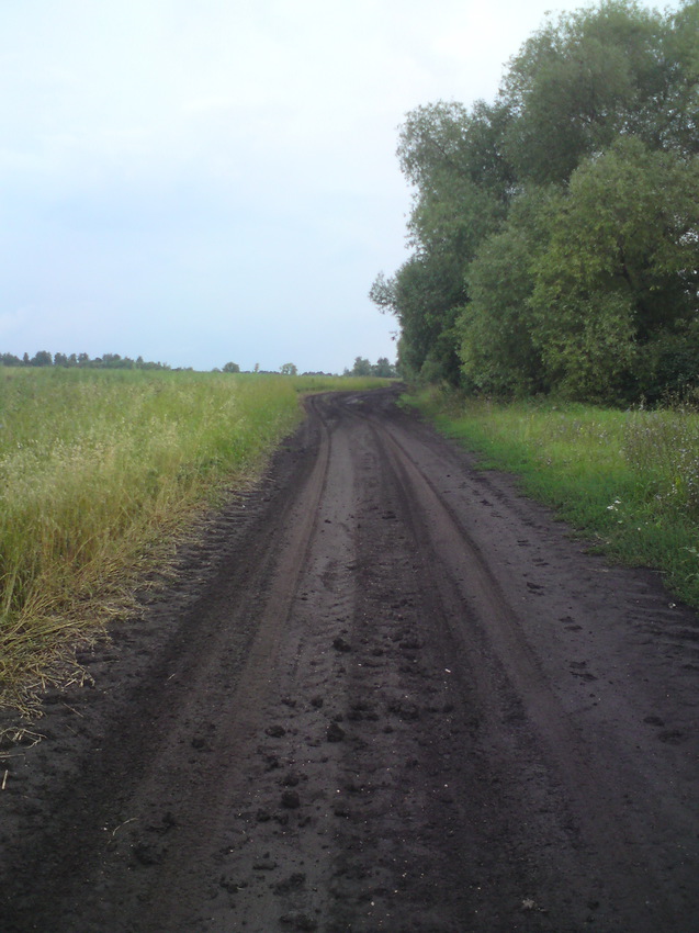 Затишьенские дороги