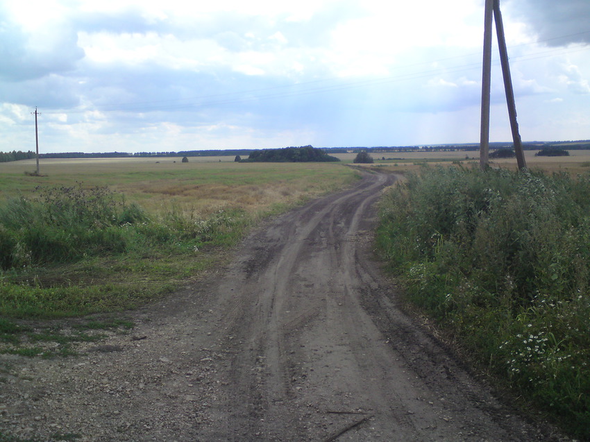 Дорога к помещикову саду