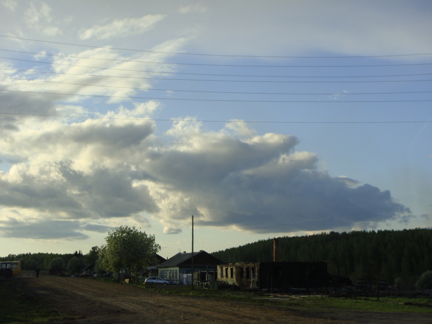 ул.трактовая