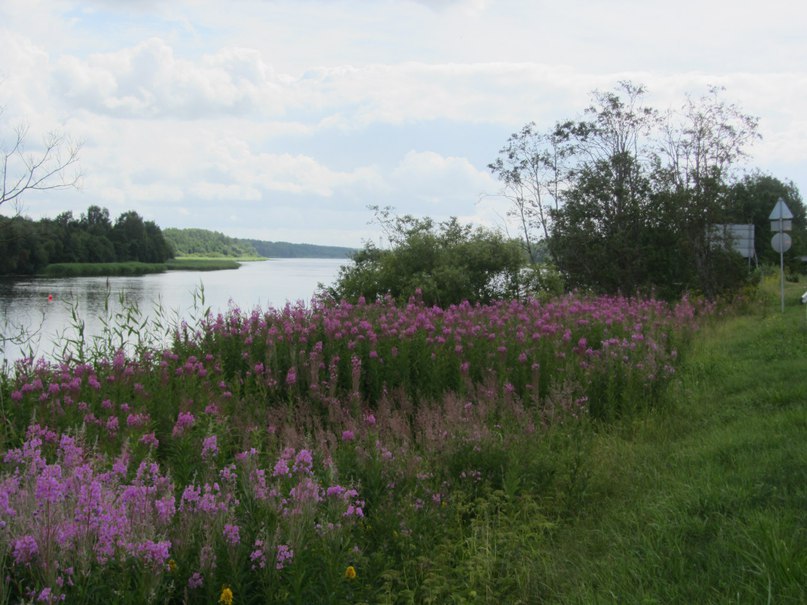 Нарва, река Нарова