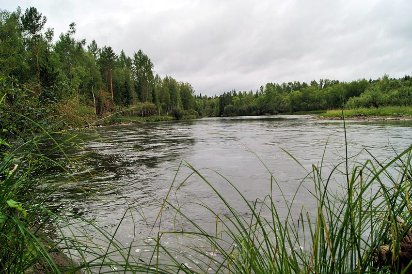 Новомариновка. Агул.