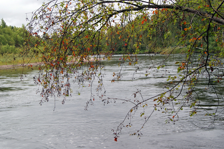 Новомариновка. Агул.