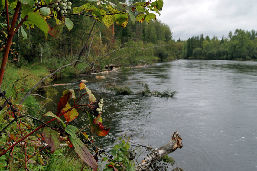 Новомариновка. Агул.