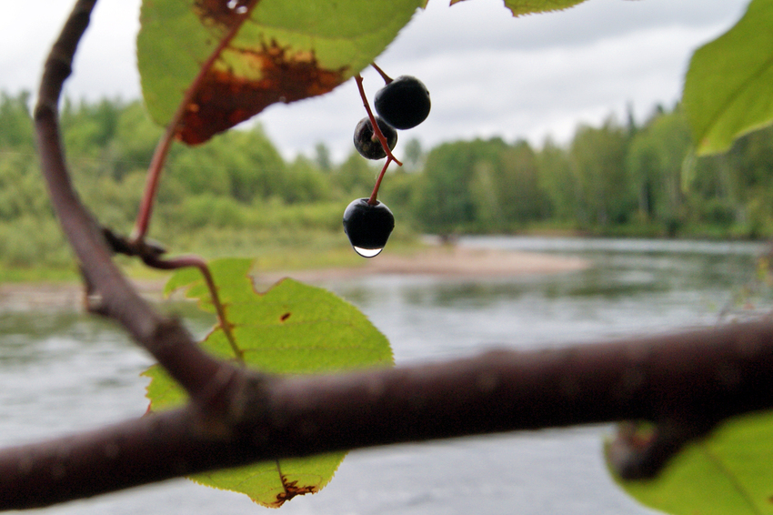 Новомариновка. Агул.