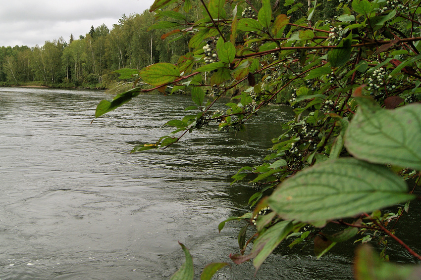 Новомариновка. Агул.