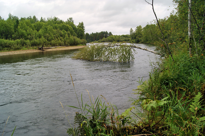 Новомариновка. Агул.