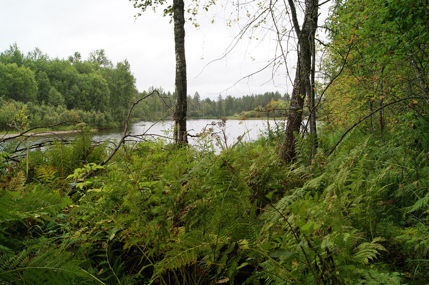 Новомариновка. Агул.
