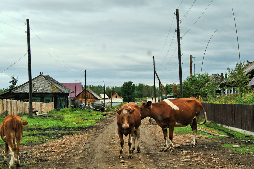 Новомариновка