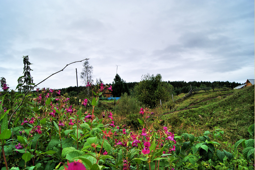 Новомариновка. Агул.
