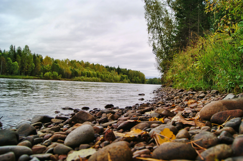 Новомариновка. Агул.