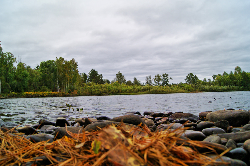 Новомариновка. Агул.