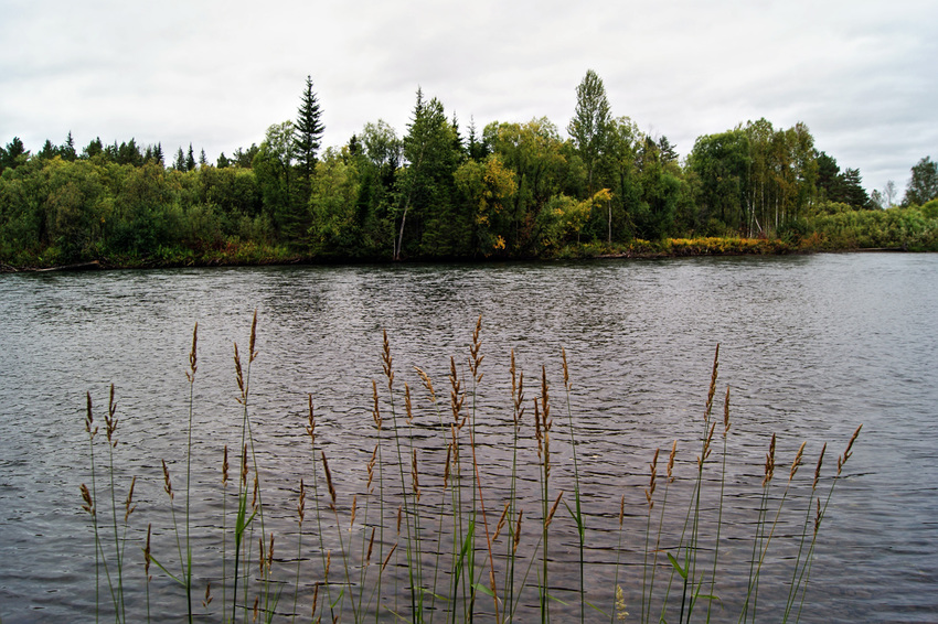 Новомариновка. Агул.