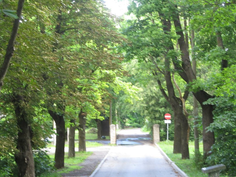 Нарва, бывшая королевская дорога