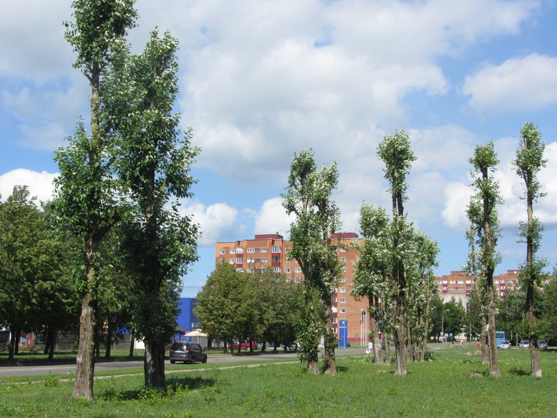 Нарва, район Солдина