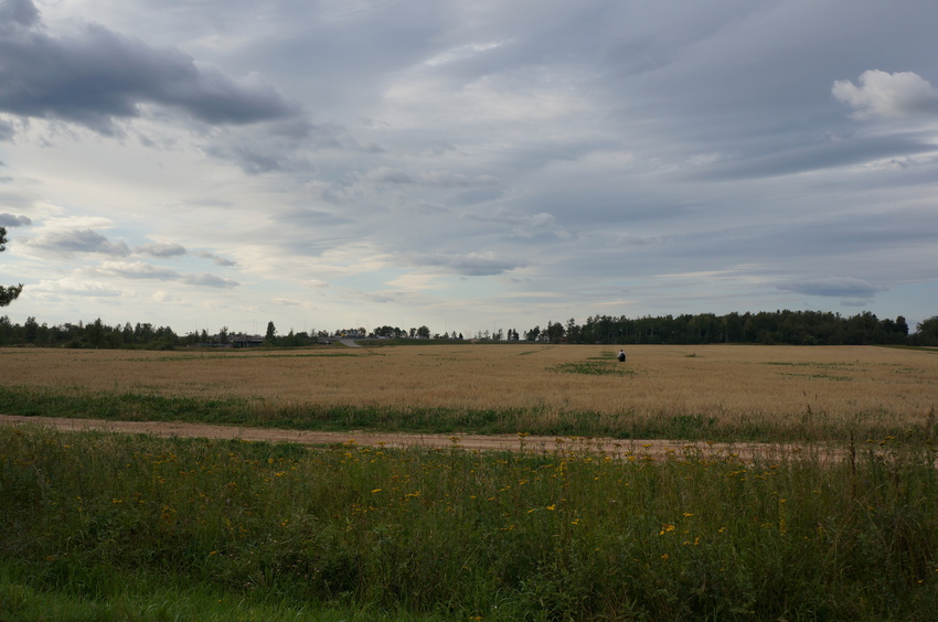 Танковый музей в Кубинке