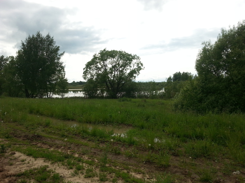 Дорога около пруда