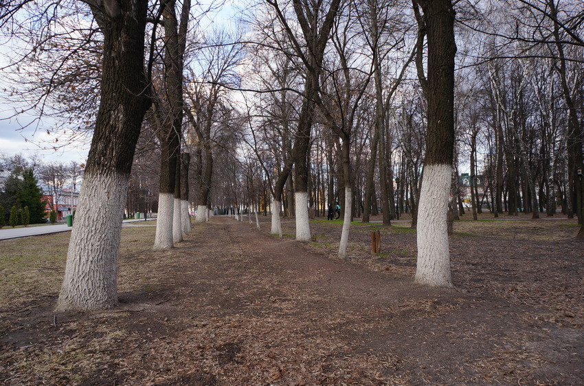 Соборный парк