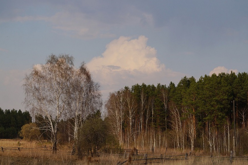 Ключи весной