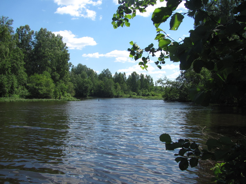 Река Лемёнка, июль 2015