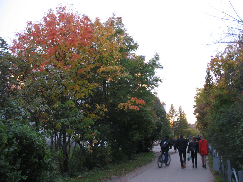 Сыктывкар 2015