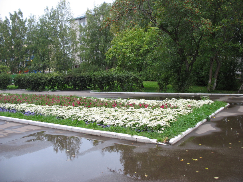 Сыктывкар 2015