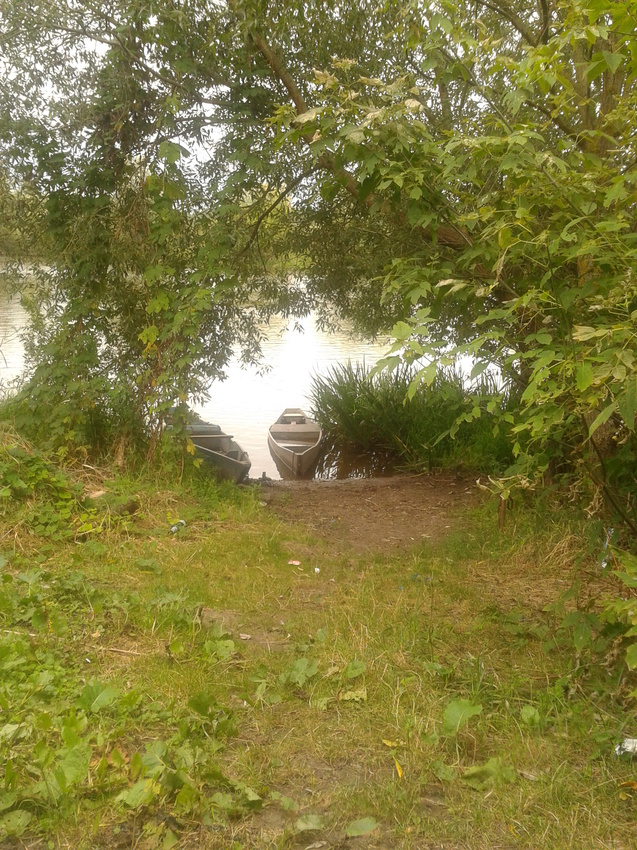 Погода в александровке ульяновской. Кошаро-Александровка. Мост в Кошарах.