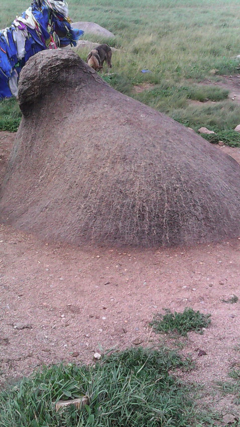 Камень Бухэ-Шулун (Бык-камень). Святыня Баргузинской долины. Расположен у дороги между сёлами Суво и Бодон.