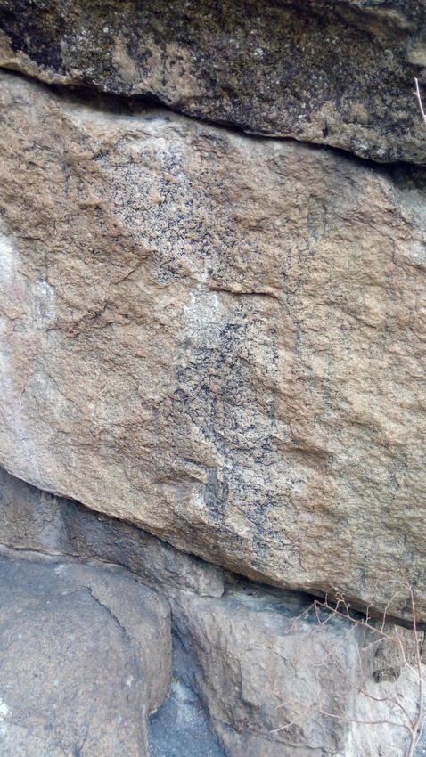 Наскальные петроглифы бронзового века близ заимки Алга (в 4-х км восточнее с. Душелан)