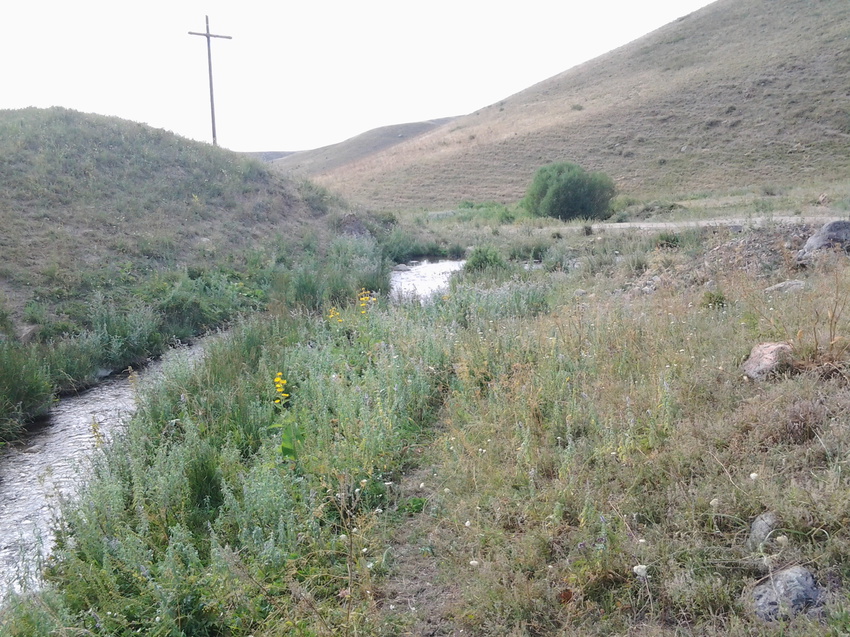 Шаган (Каспанский с.о.)