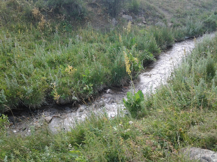 Шаган (Каспанский с.о.)