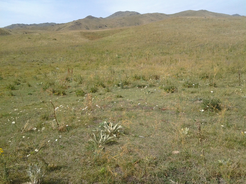 Шаган (Каспанский с.о.)