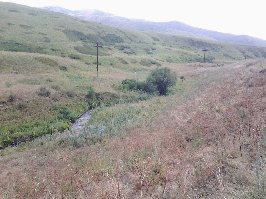 Шаган (Каспанский с.о.)