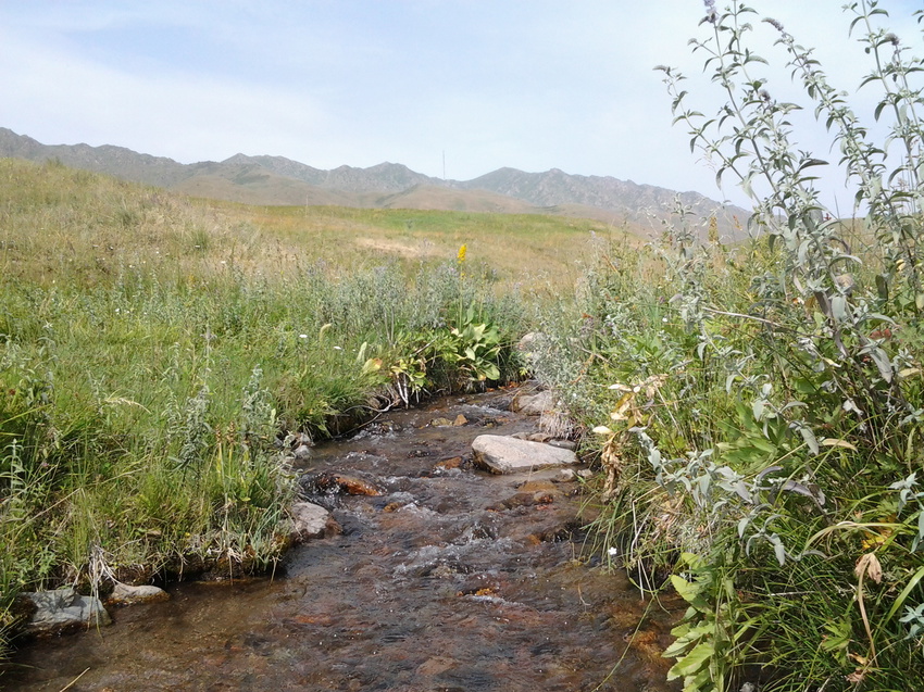 Шаган (Каспанский с.о.)