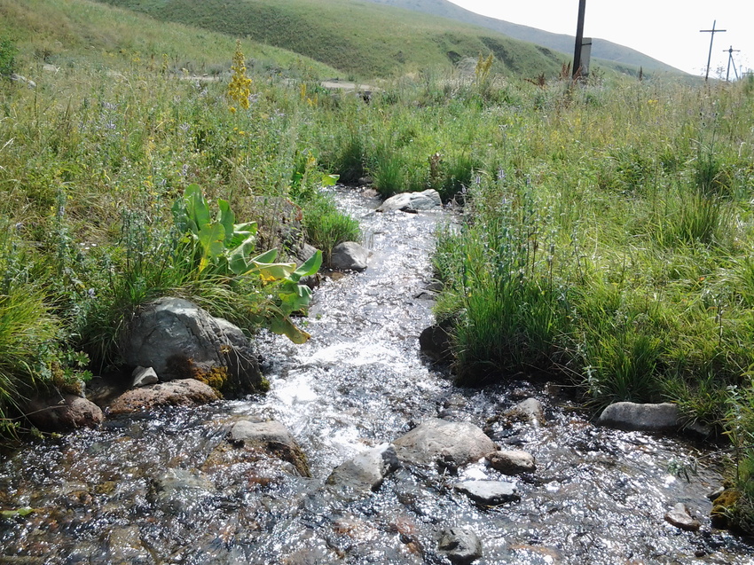 Кугалы казахстан село