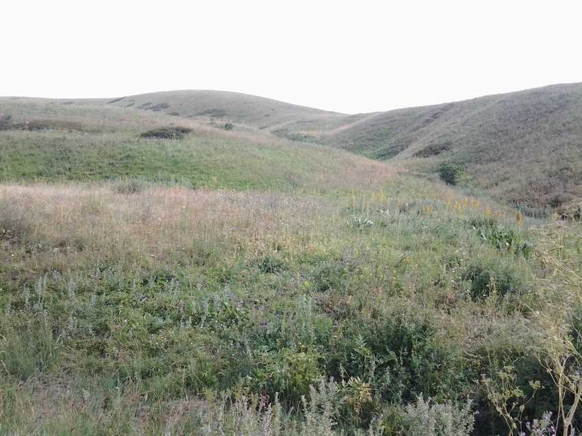 Шаган (Каспанский с.о.)