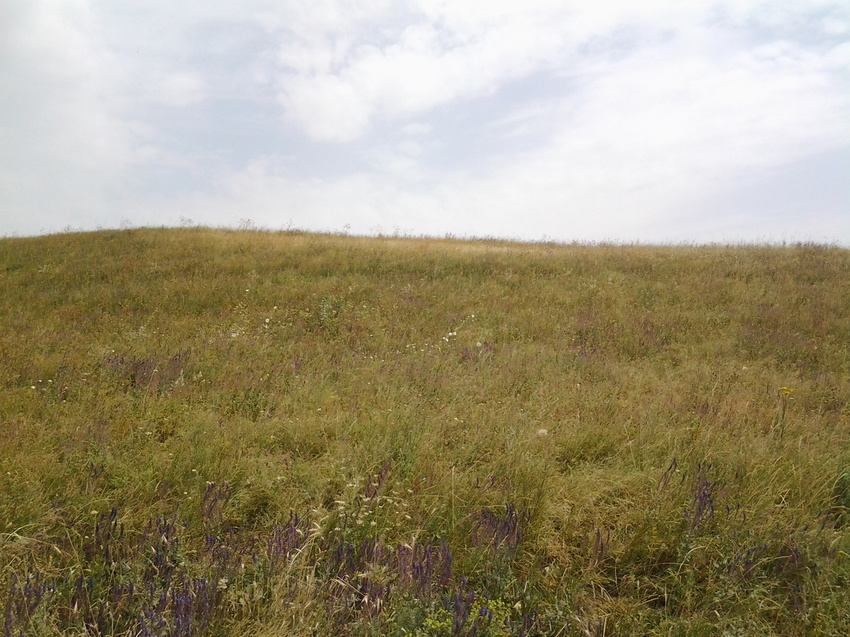 Шаган (Каспанский с.о.)