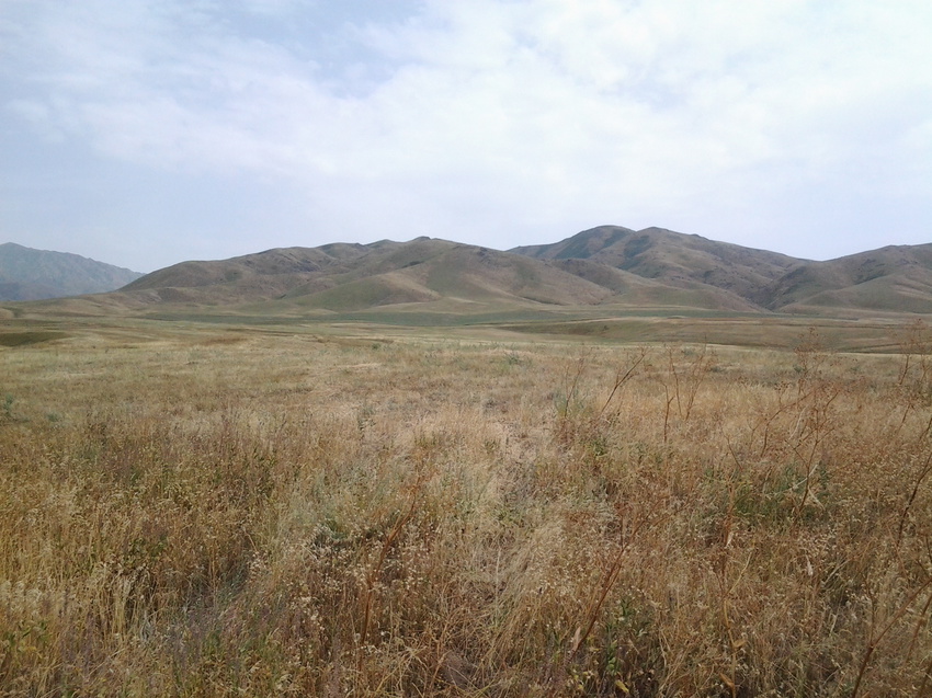 Шаган (Каспанский с.о.)