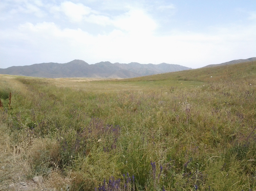 Шаган (Каспанский с.о.)