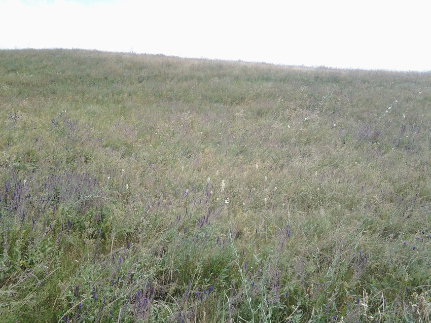 Шаган (Каспанский с.о.)