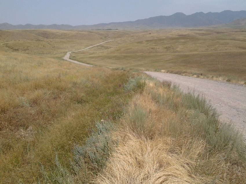 Шаган (Каспанский с.о.)